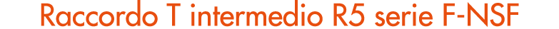 Raccordo T intermedio R5 serie F NSF