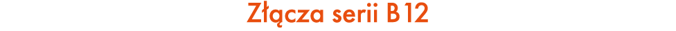 Z cza serii B12